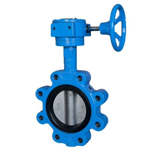 d7l1x lug type butterfly valve white background